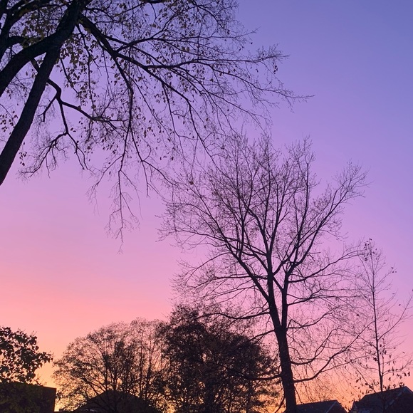 Meet your Posher, Ameila - Picture 1 of 1